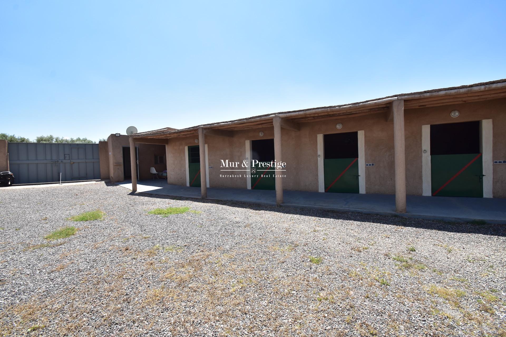 Maison d'hôtes avec salle d'événement, carrière et box pour chevaux 