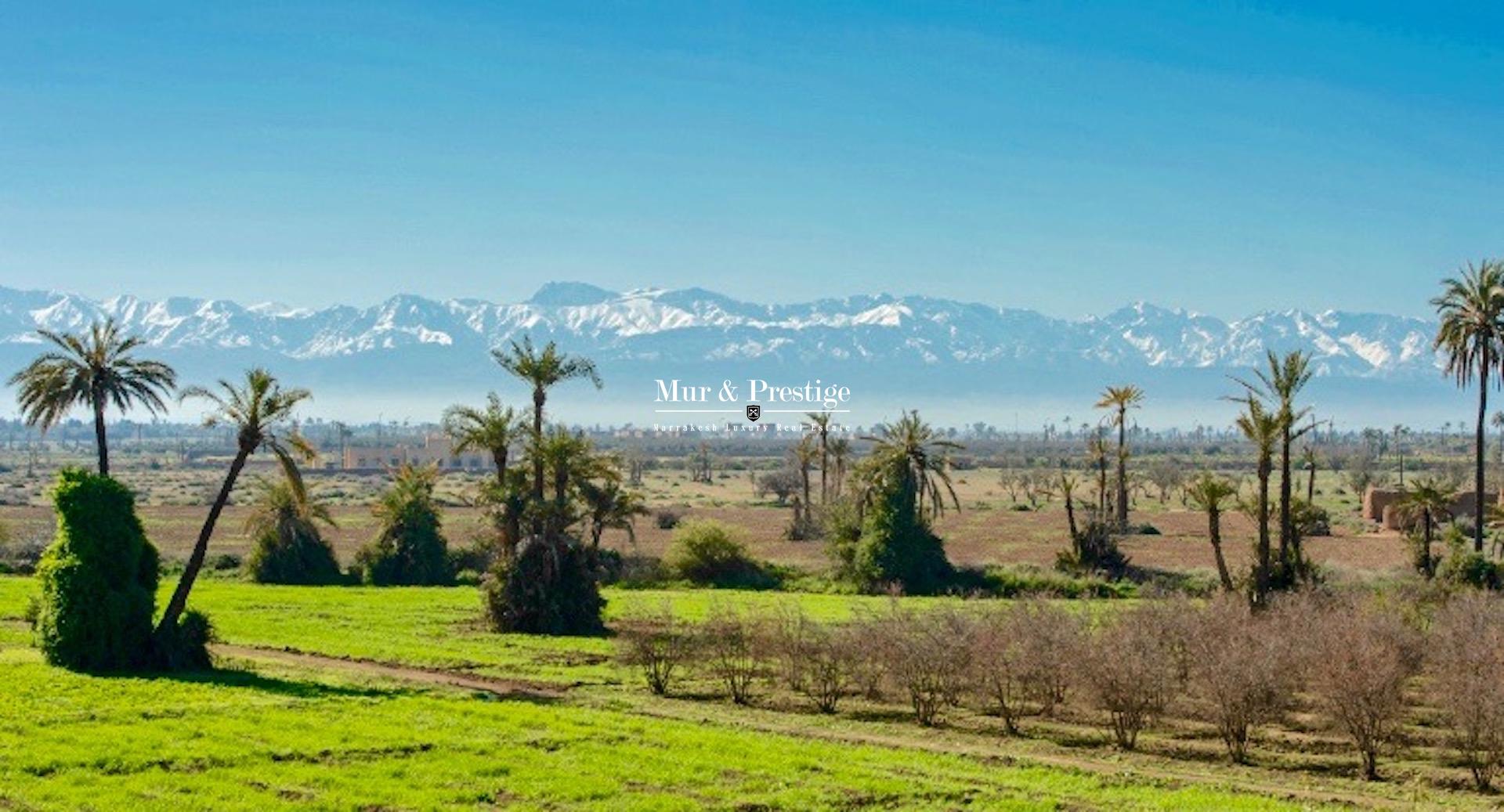 Agence Immobilière Marrakech