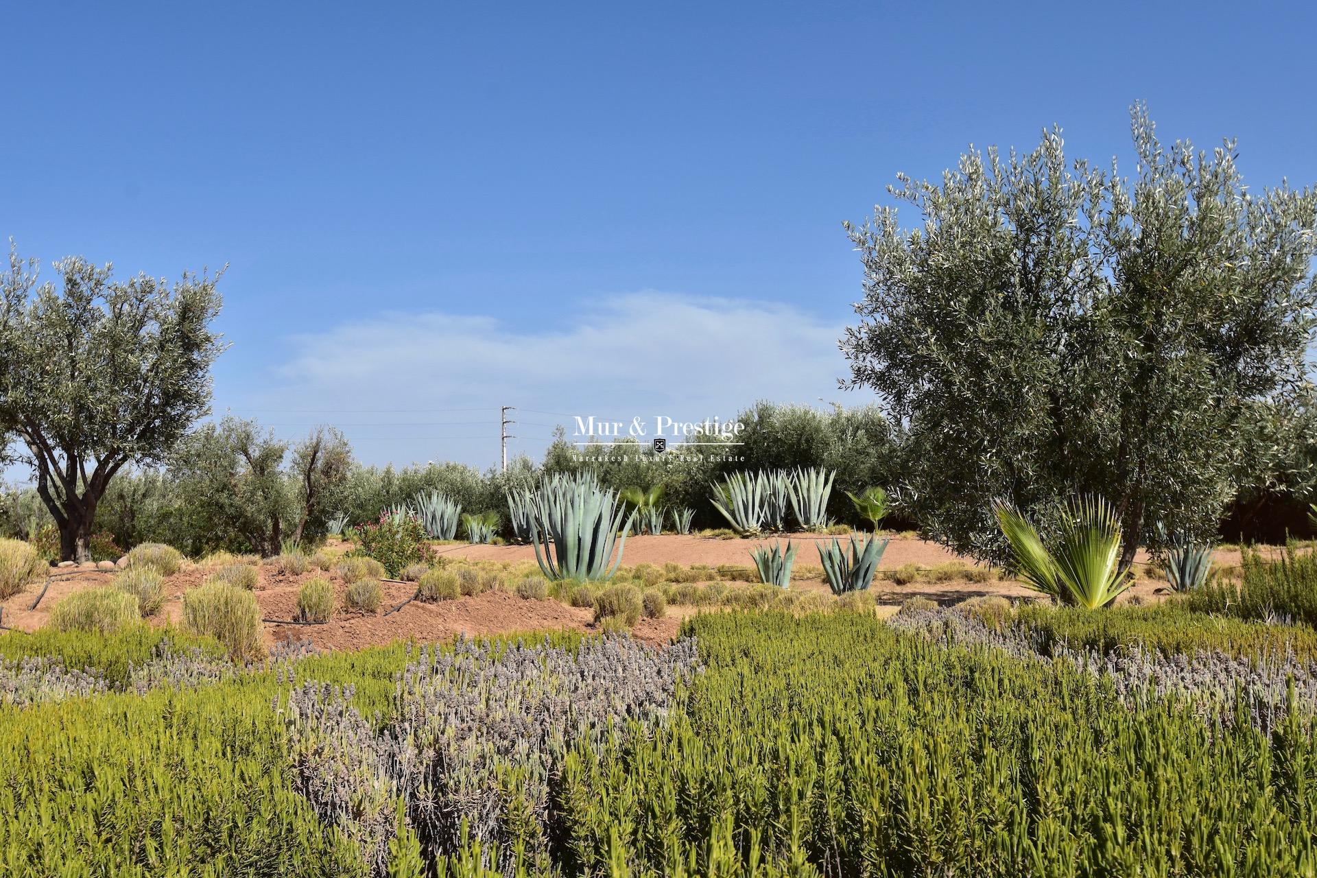 Maison à vendre à Marrakech idéale pour maison d’hôtes