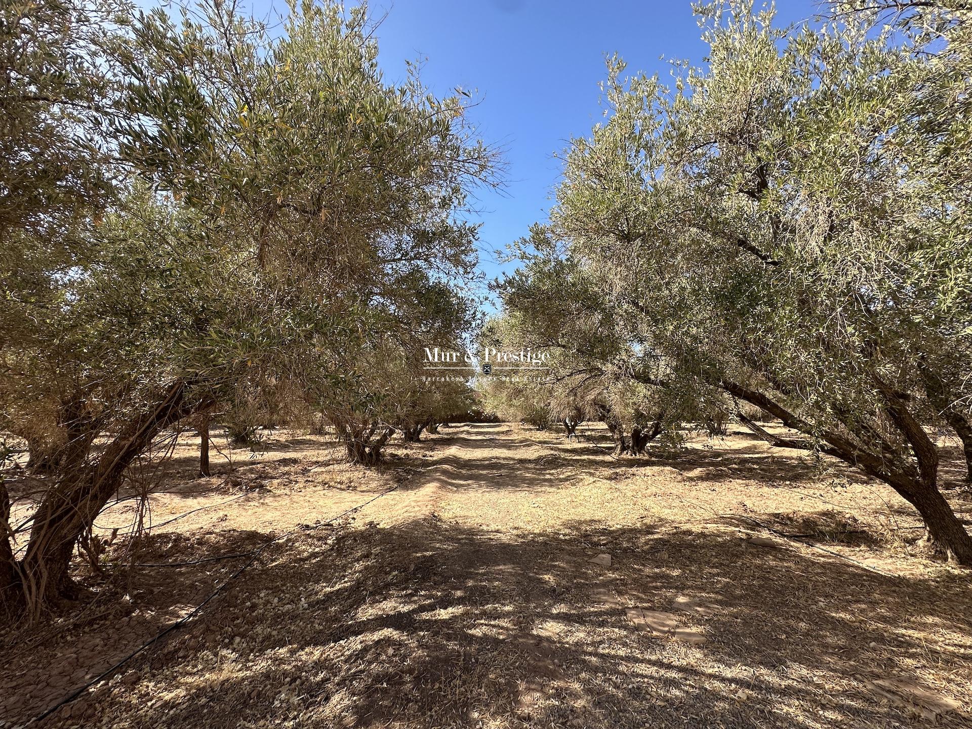 Maison de Caractère à Vendre – Proche Ecole Américaine