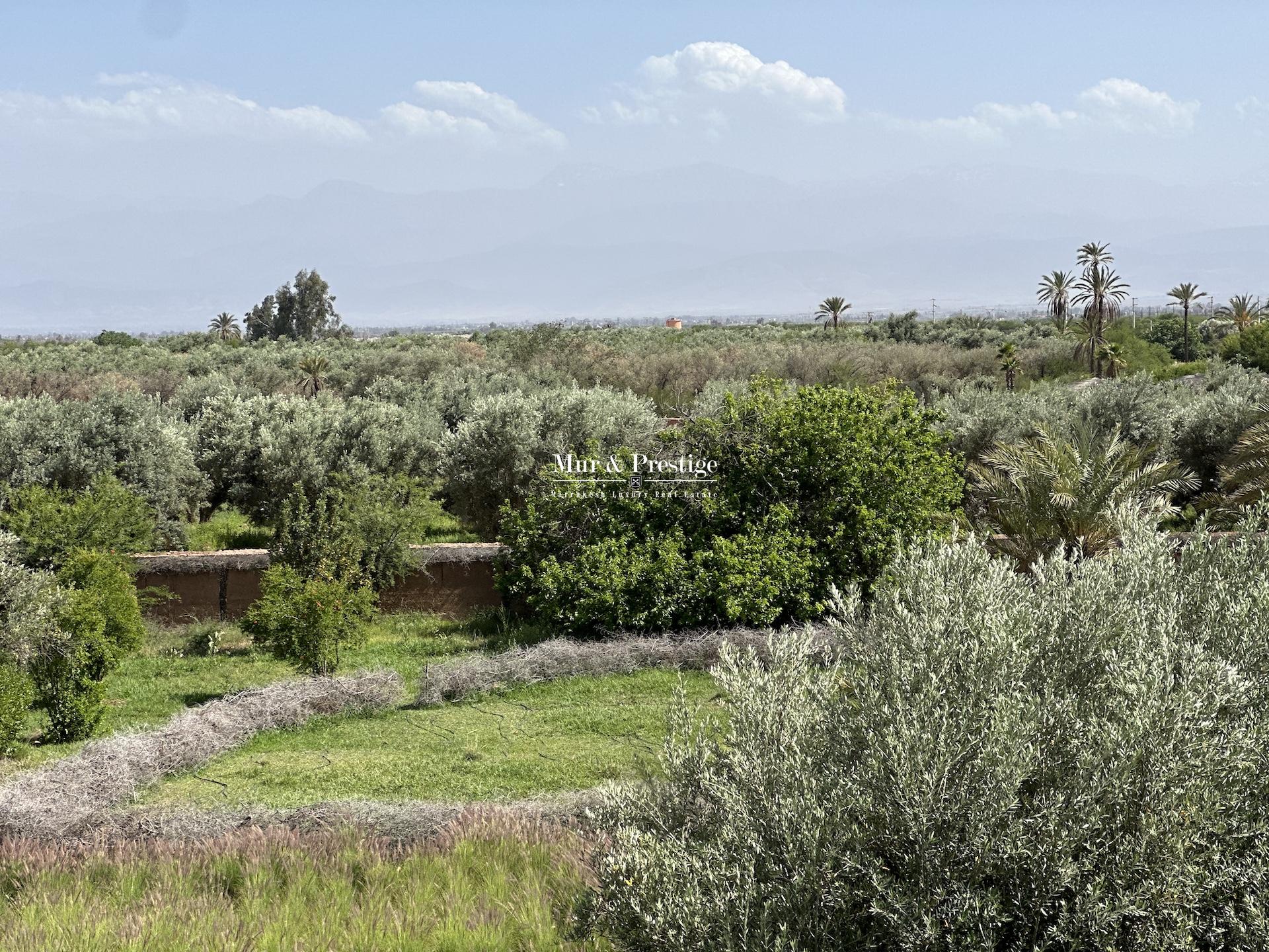 Maison De Charme à Vendre à Marrakech - Agence Immobilière