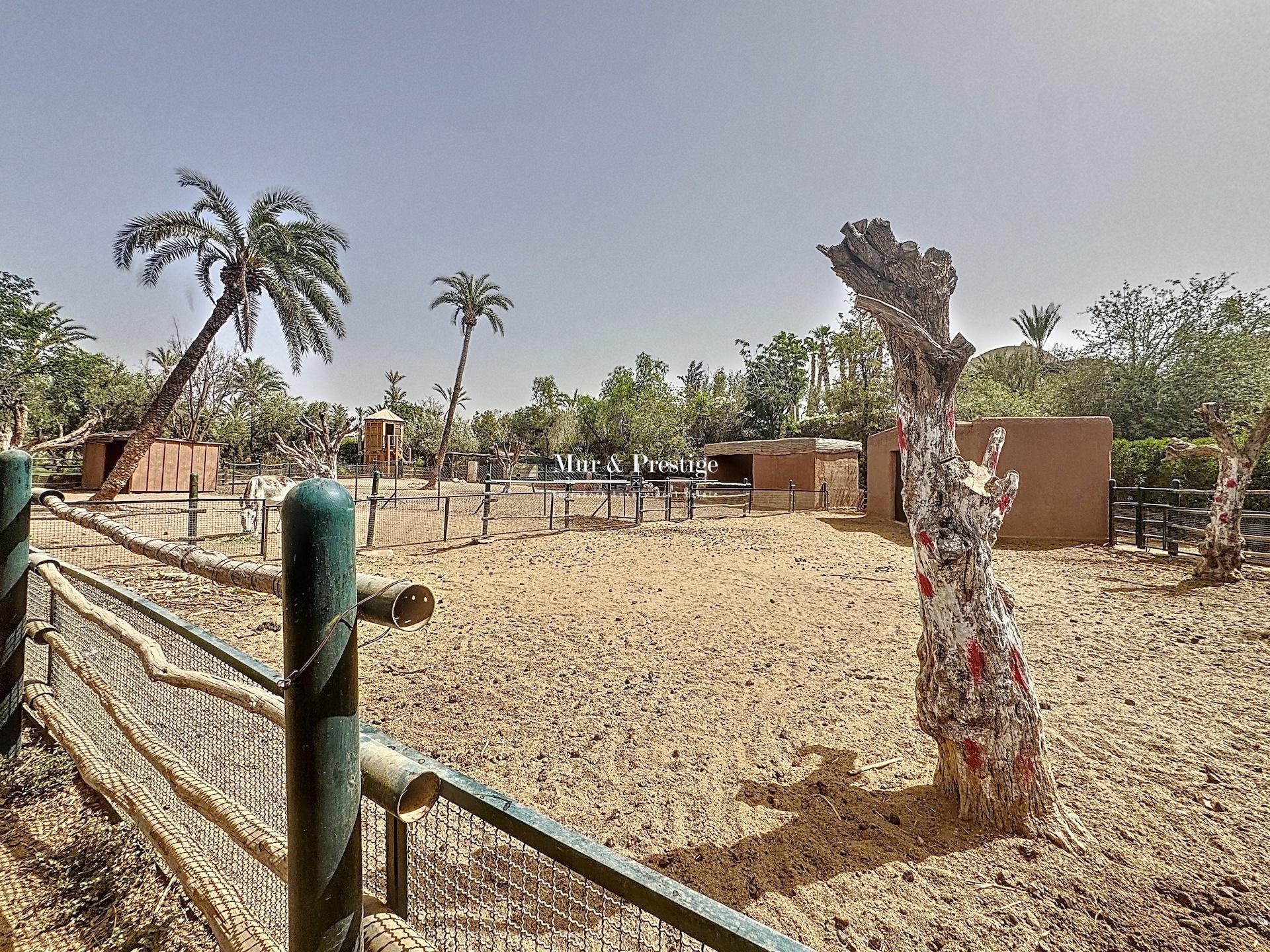Palais Marocain sur 4 hectares dans la Palmeraie