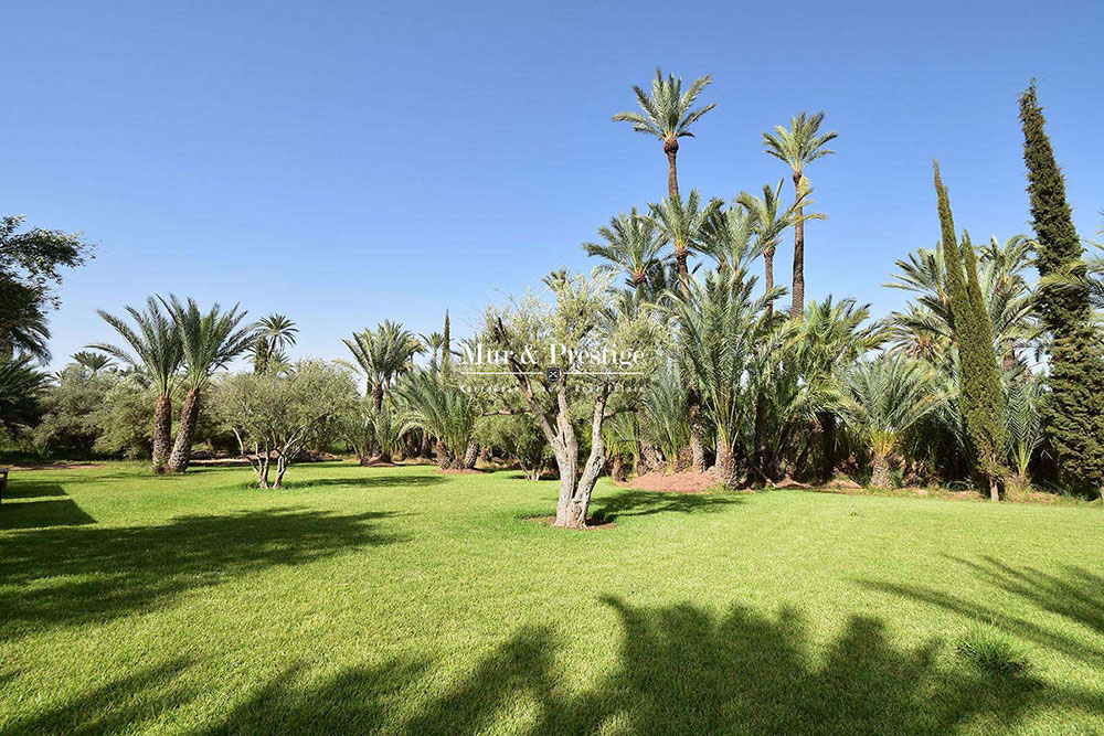Belle villa a vendre dans la palmeraie Marrakech