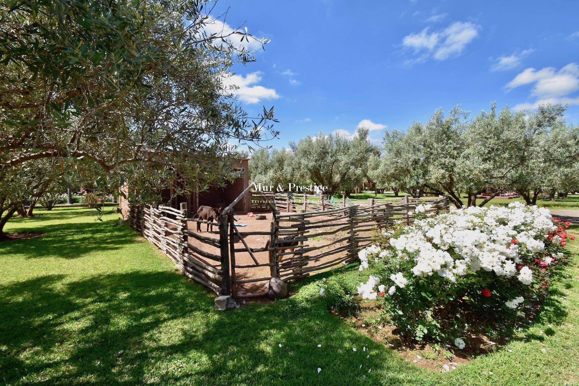 Maison d'hôtes de style ferme berbère à vendre