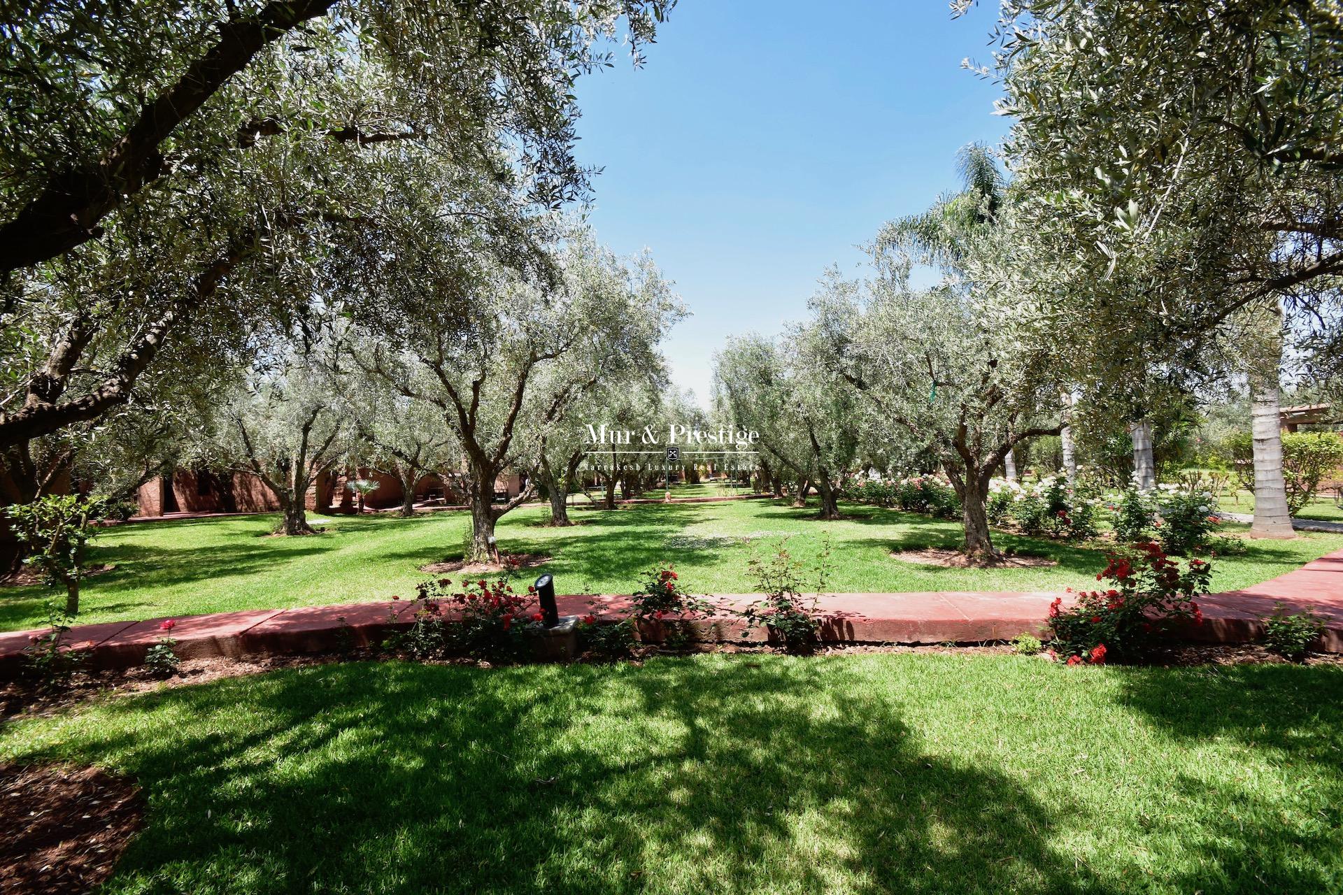 Maison d'hôtes de style ferme berbère à vendre