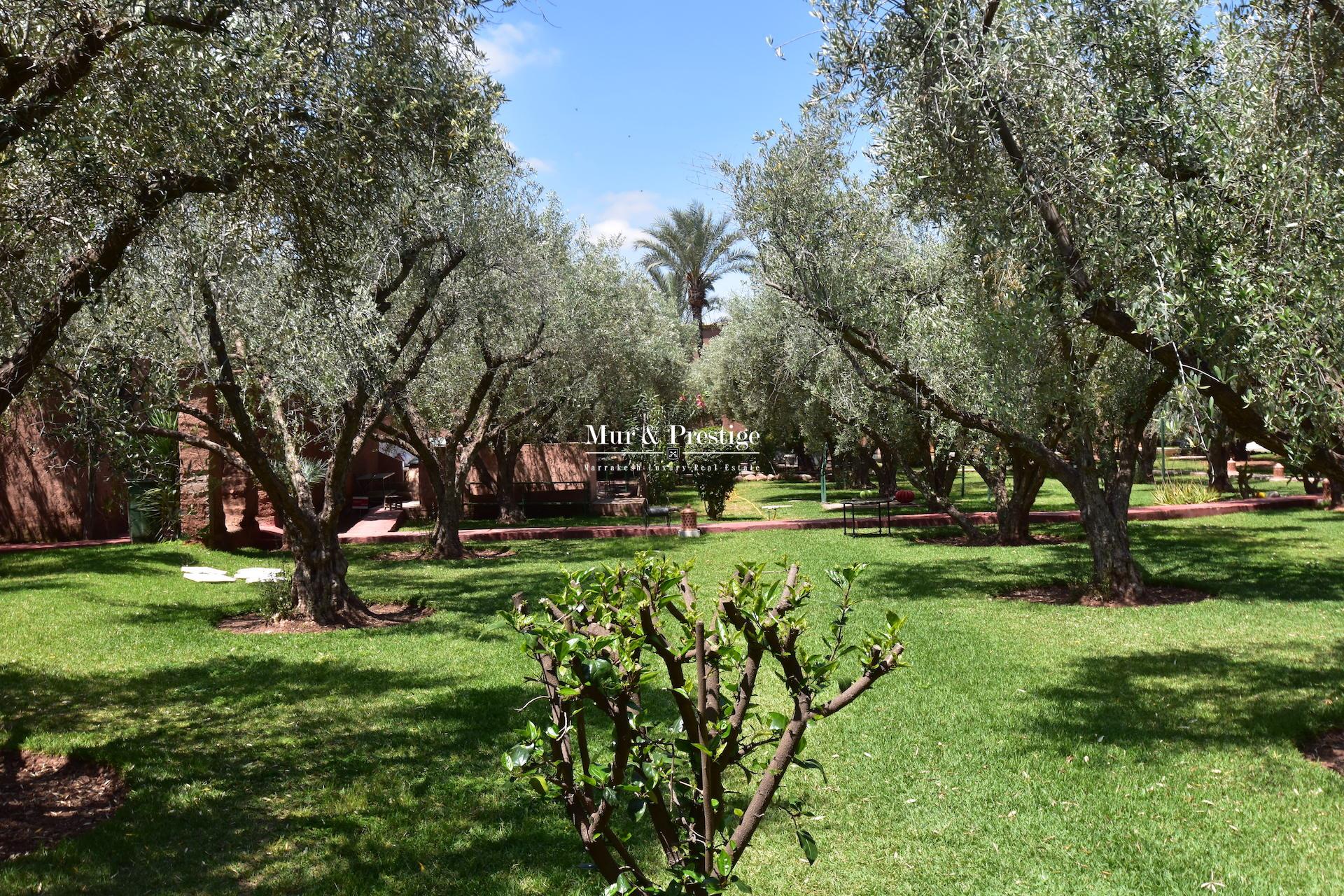 Maison d'hôtes de style ferme berbère à vendre