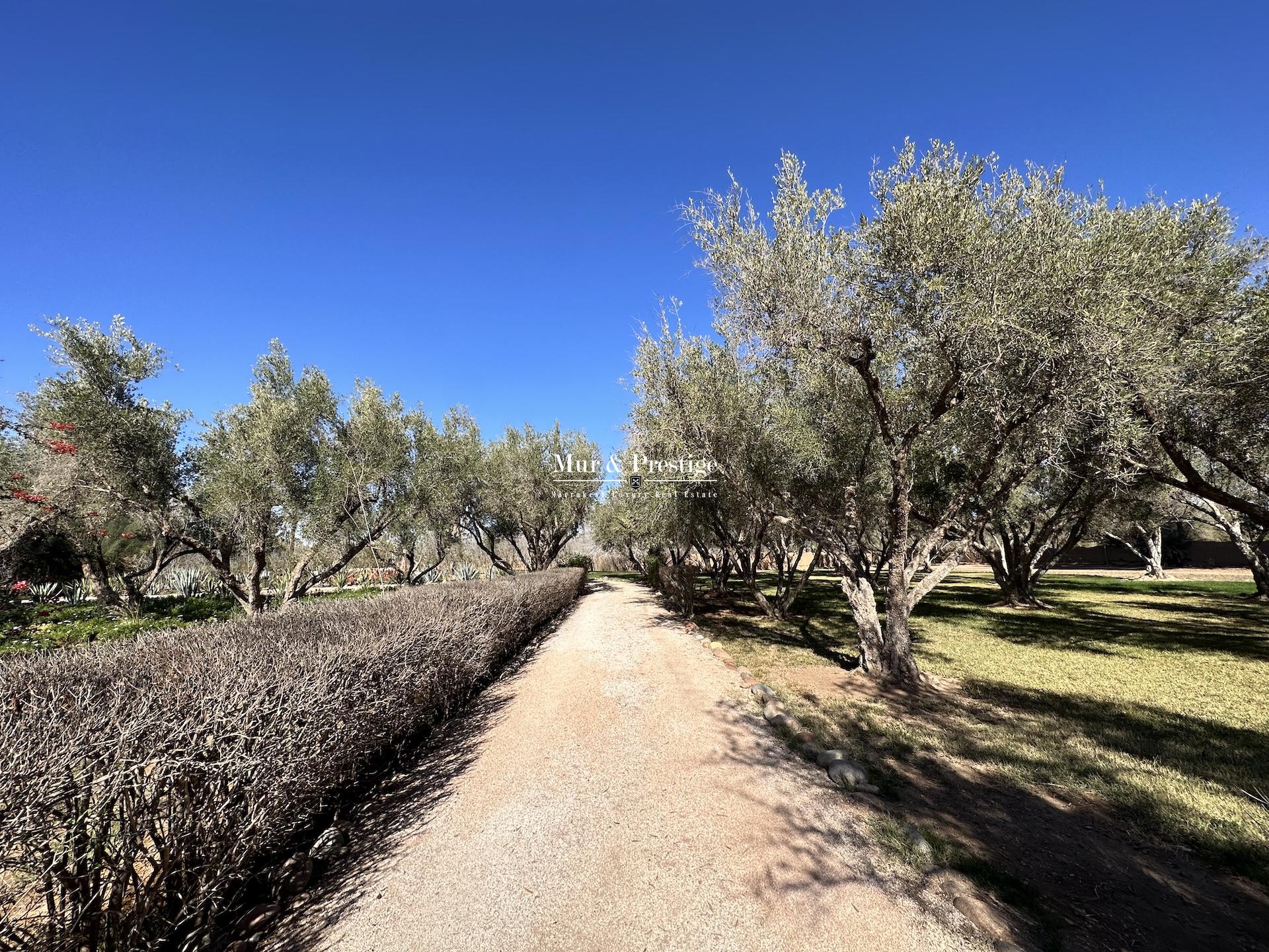 Palmeraie – Maison de Caractère à Vendre