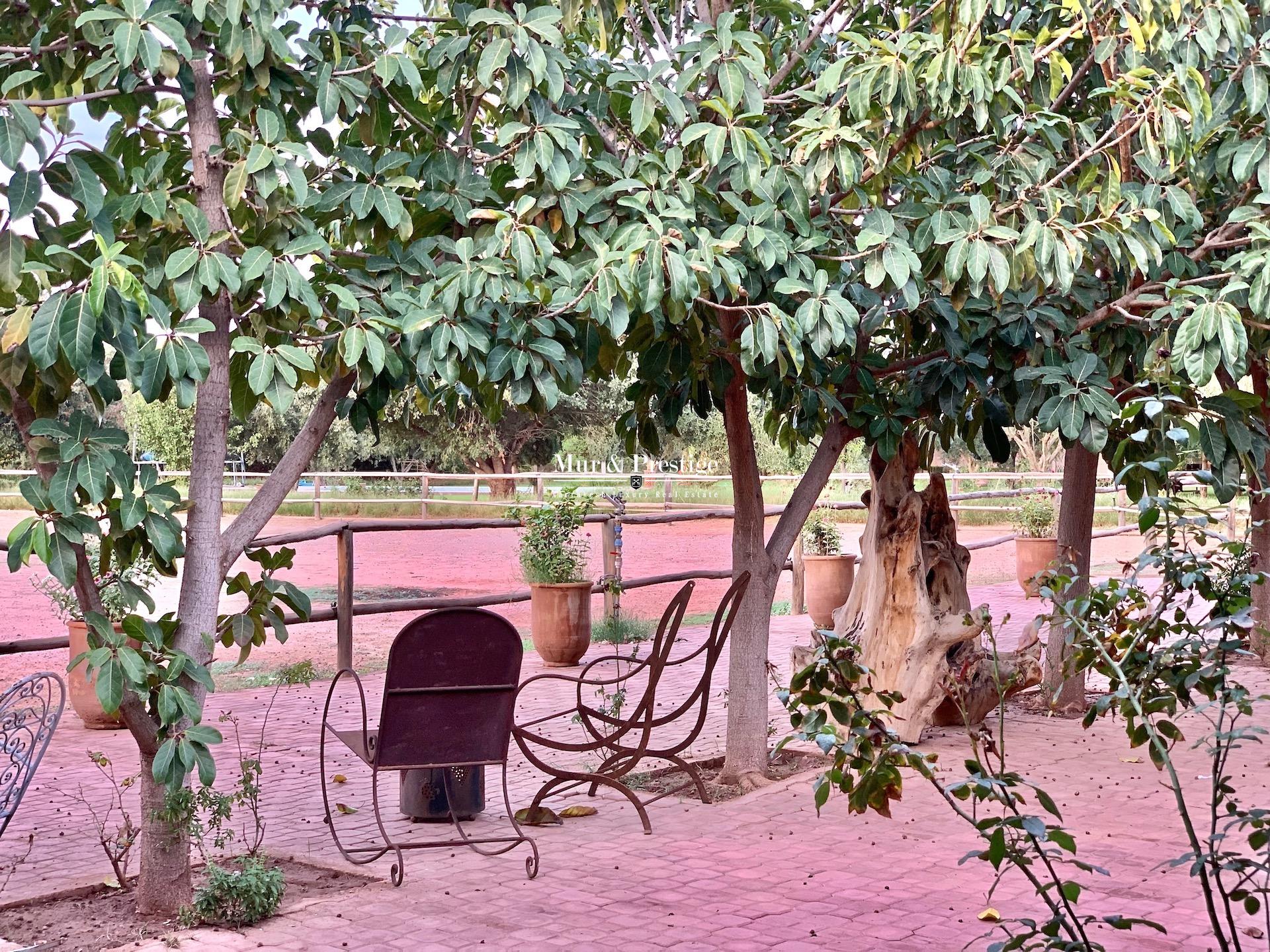 Propriété avec carrière et box à chevaux à vendre à Marrakech