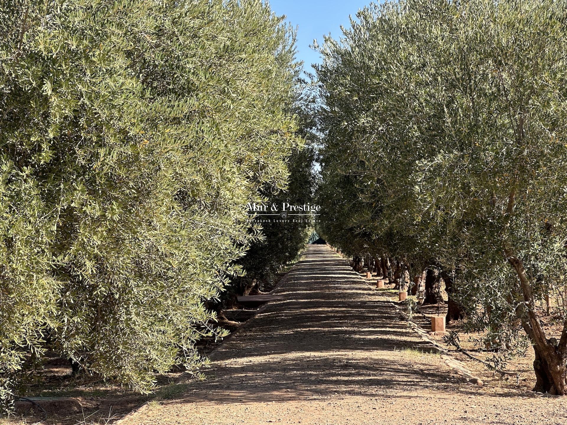 Ferme sur 4 Hectares à Vendre à 30 min du Centre