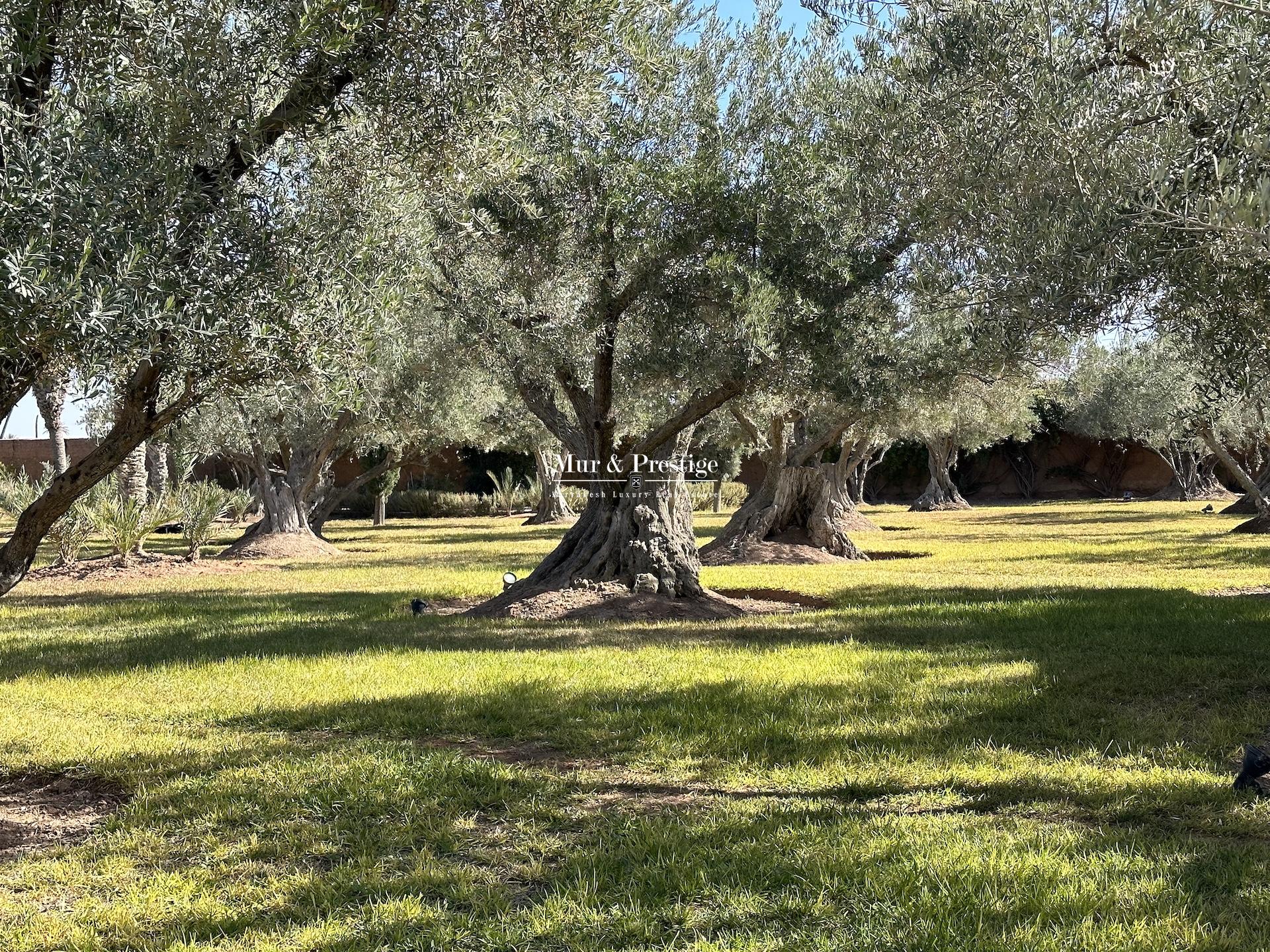 Triangle d’Or Palmeraie – Maison d’Exception