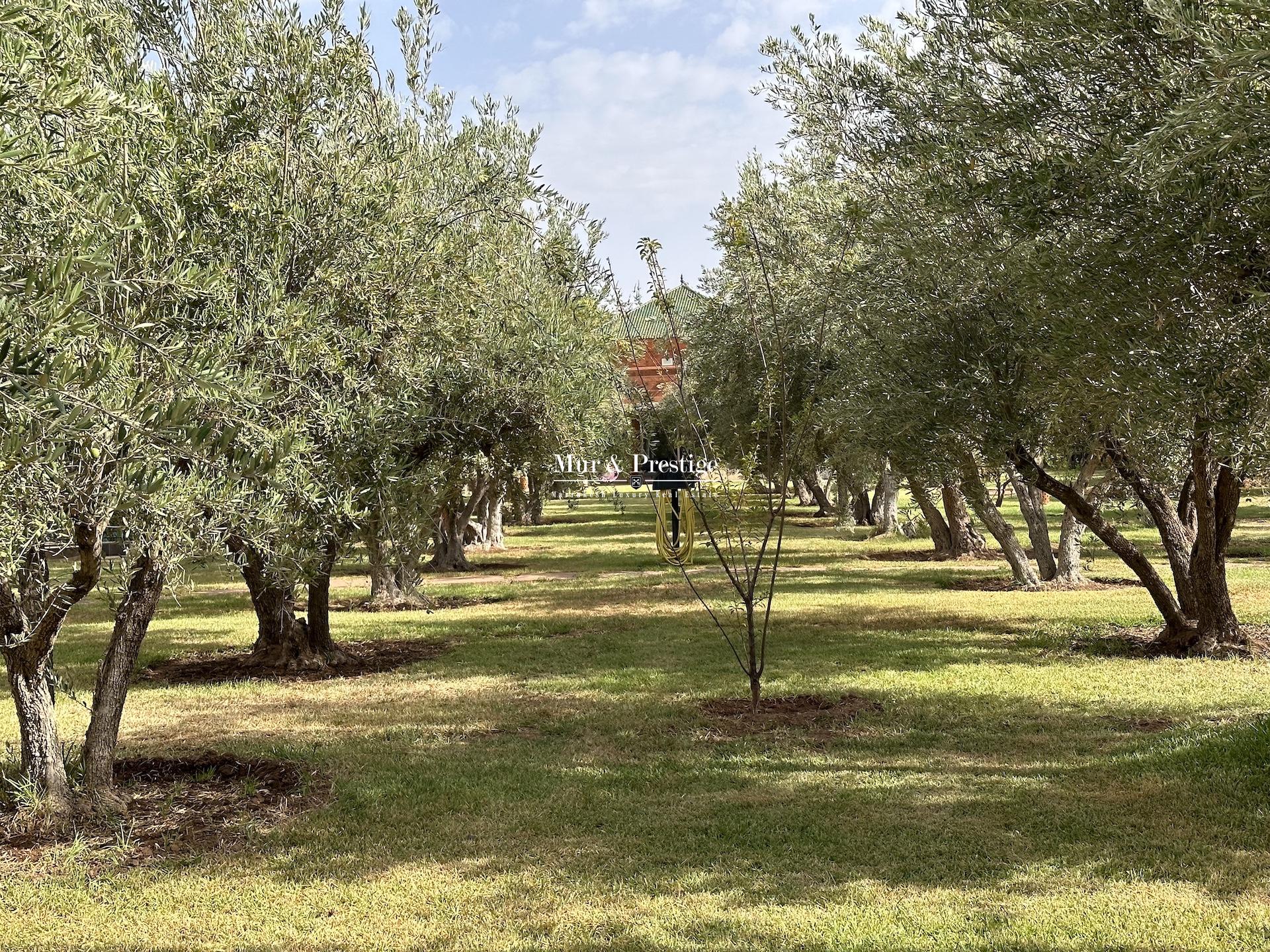 Maison de Plain-Pied Proche École Américaine