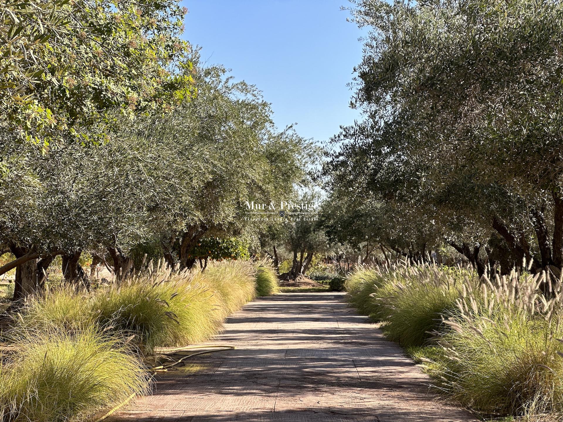 Triangle d’Or Palmeraie – Maison d’Exception