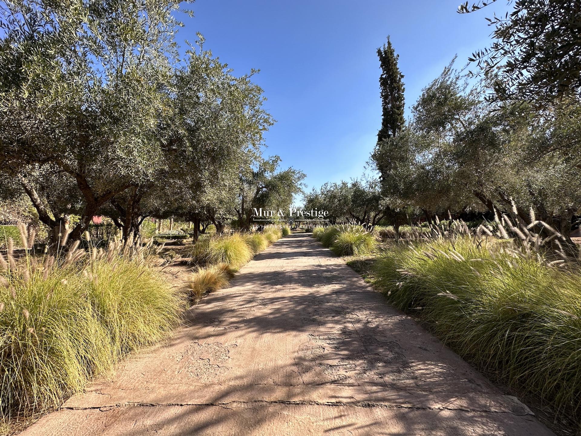 Triangle d’Or Palmeraie – Maison d’Exception