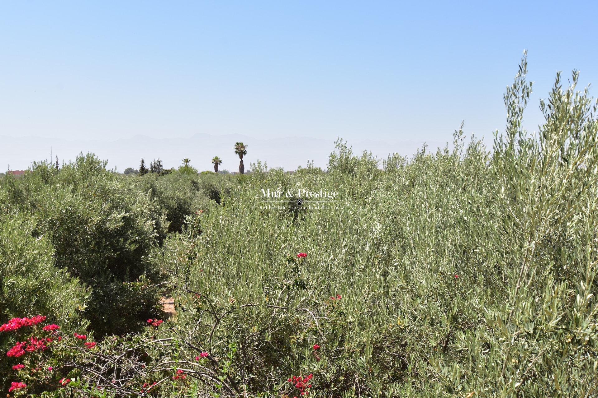 Maison coup de cœur des années 60 à vendre à Marrakech